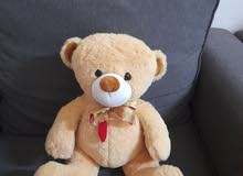 teddy bear fluffy and soft