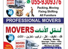 professional mover and packer