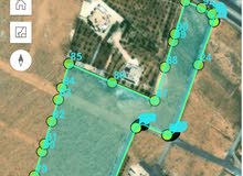 Residential Land for Sale in Ma'an Ayl