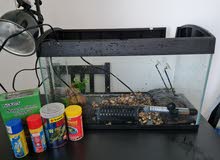 Tank for Turtle Tank for Turtle