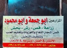 مزارع مصري لتقليم ورش الاشجار والزراعة والحراثه و العنايه بالحدائق