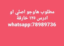 مطلوب هاوجوووو اصليي مطلوب هاوجوووو اصليي