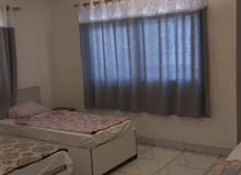 ستديو / شقة للايجار اليومي فقط