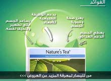 الشاي الأخضر nature's tea الشاي الأخضر nature's tea