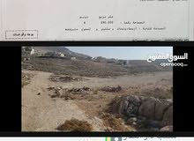 Residential Land for Sale in Amman Almih St