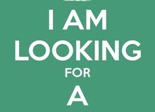 looking for new job in respectful company looking for new job in respectful company