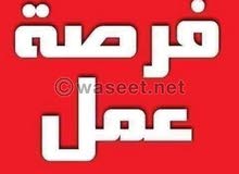 مطلوب سيدات وانسات للتسويق من المنزل لشركة ديكور بمصر الجديدة مطلوب سيدات وانسات للتسويق من المنزل لشركة ديكور بمصر الجديدة