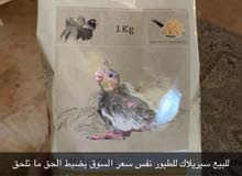 كوكتيل سيريلاك كوكتيل سيريلاك