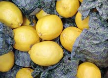 خضار وفواكه خضار وفواكه