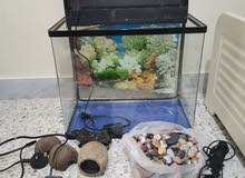aquarium aquarium