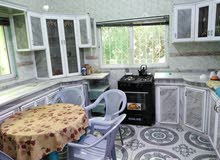شقه مفروشه للإيجار جرش ظهر السرو غرب الصور شقه مفروشه للإيجار جرش ظهر السرو غرب الصور