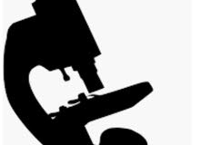 ابحت عن عمل مختبرات طبيه 0928801987 ابحت عن عمل مختبرات طبيه 0928801987