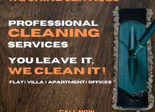Cleaning and Pest Control Servives