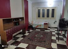 شقه مفروشه للايجار بسعر لقطه شقه مفروشه للايجار بسعر لقطه