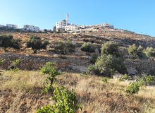 Mixed Use Land for Sale in Bethlehem Beit Fajar