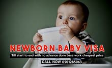 Newborn baby visa till start to end with no advance done base work cheapest pric