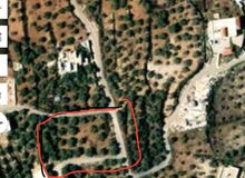 Mixed Use Land for Sale in Nablus Other