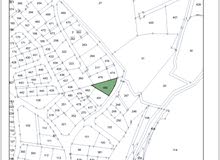 Residential Land for Sale in Amman Badr Jdedeh
