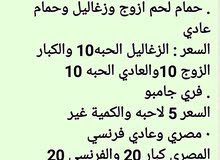 دجاج وحمام وبط وفري دجاج وحمام وبط وفري