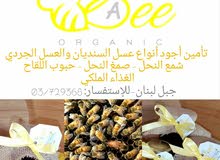 عسل جبل لبنان (SA Bee) عسل جبل لبنان (SA Bee)