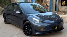 Tesla Model 3 Standard Plus 2022