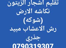 تقليم شجر ونكش الارض تقليم شجر ونكش الارض