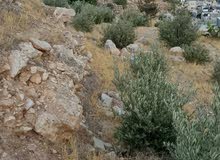 Residential Land for Sale in Jerusalem Abu Dis