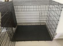 crate XXL ( Great Dane size) crate XXL ( Great Dane size)