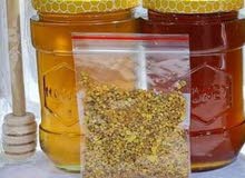 عسل طبيعي وزن العلبة 450 غرام السعر عشرة الاف عسل طبيعي وزن العلبة 450 غرام السعر عشرة الاف
