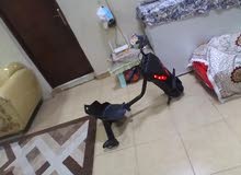 ولا شيء ولا شيء