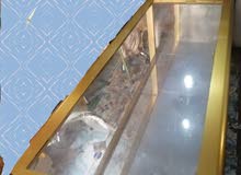 عارضه محل نضيفه عارضه محل نضيفه