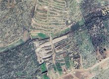Residential Land for Sale in Hebron Tarqumiyah