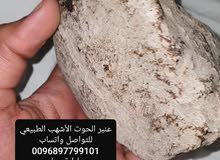 عنبر الحوت الأشهب الطبيعي عنبر الحوت الأشهب الطبيعي