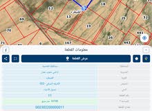 Farm Land for Sale in Amman Al-Quneitirah