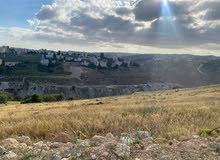 Residential Land for Sale in Salt Al Saro