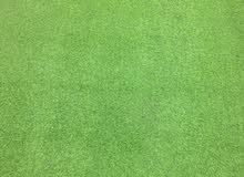 Artificial grass 4m * 2m