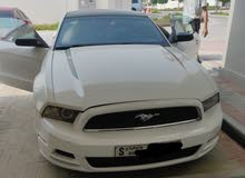 Mustang 2014