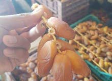 تمور النور التونسية للبيع تمور النور التونسية للبيع