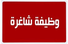 مطلوب مهندسة حاسوب \ مبرمجة مطلوب مهندسة حاسوب \ مبرمجة