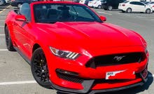 ford mustang convertible perfect condition