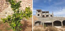 Residential Land for Sale in Zarqa Birayn