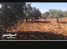 Residential Land for Sale in Ramallah and Al-Bireh Kaubar