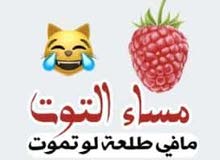 ابحث عن عمل خبره في الرافعه الشوكيه ابحث عن عمل خبره في الرافعه الشوكيه