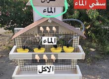 سقاية الماء والاكل للطيور سقاية الماء والاكل للطيور