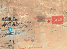ارض للبيع اربع دنم و 917م قرب بوابة الشحن المطار وقصر المشتى ارض للبيع اربع دنم و 917م قرب بوابة الشحن المطار وقصر المشتى