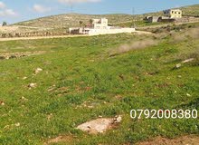 Farm Land for Sale in Zarqa Al-Qnaiya