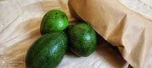 Solo Fruits Solo Fruits