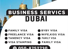 Family visa and Freelance visa service