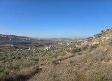 Mixed Use Land for Sale in Nablus Sebastia