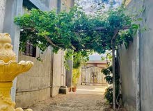 4m2 5 Bedrooms Villa for Rent in Tripoli Ain Zara